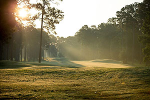 State Parks Blackshear